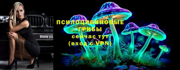 таблы Пересвет