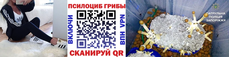 магазин    Отрадное  Псилоцибиновые грибы мухоморы 